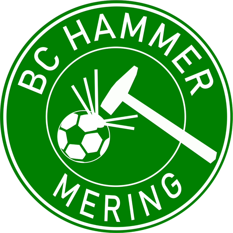 CT Badelatschen BC Hammer - grün/weiß - rund