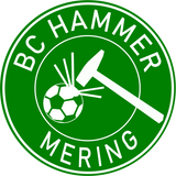 CT Badelatschen BC Hammer - schwarz/weiß - Logo rund