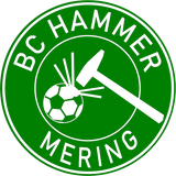 CT Tasse BC Hammer Mering Logo - grün