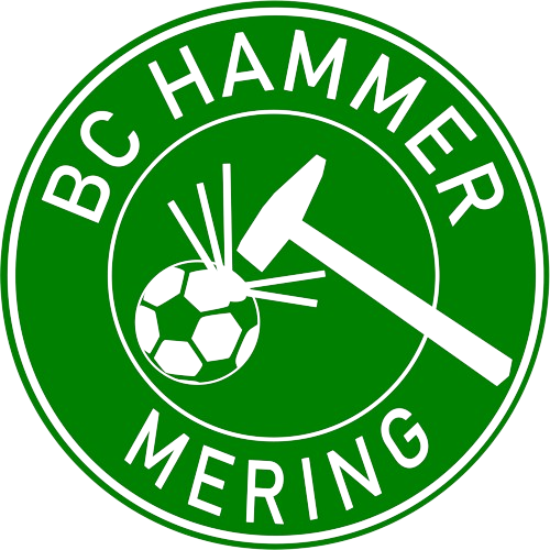 CT Tasse BC Hammer Mering Logo - grün