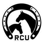 CT Flachmann - Reitclub Ulrichshof