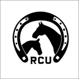 Clique BASIC Hoody - Kinder - grau - Reitclub Ulrichshof e.V.