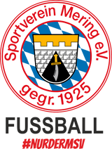 CT CoffeeToGo Becher SV Mering e.V. - Fussball